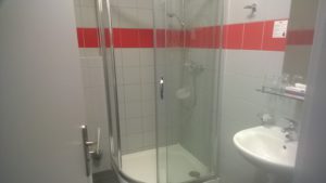 Albellus Brno