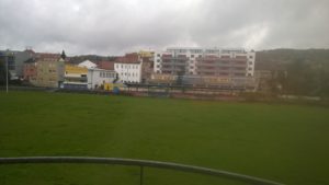 Albellus Brno