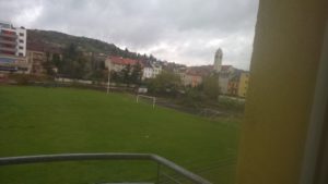 Albellus Brno