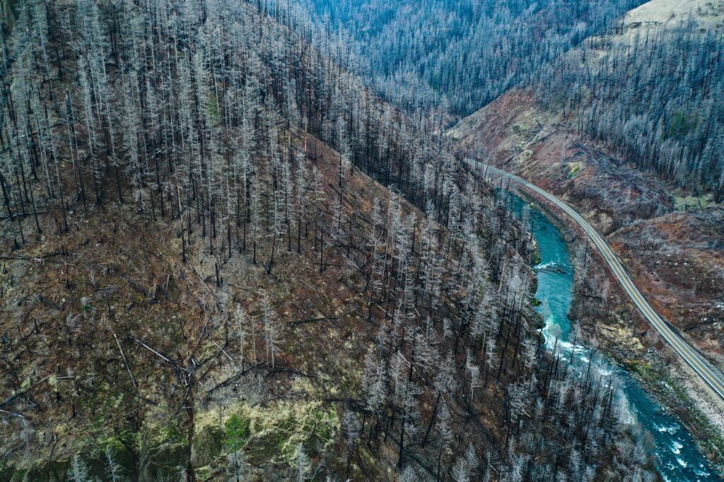 Obrovský požiar na juhu Francúzska: Plamene spálili už 800 hektárov, tisíce ľudí opustili domovy