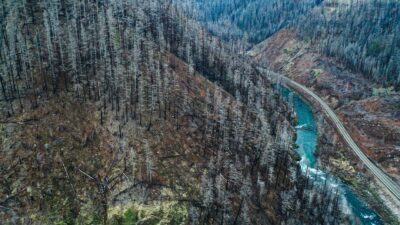 Obrovský požiar na juhu Francúzska: Plamene spálili už 800 hektárov, tisíce ľudí opustili domovy