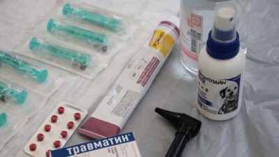 V Kongu testujú nové lieky na ebolu, chorým svitá nádej