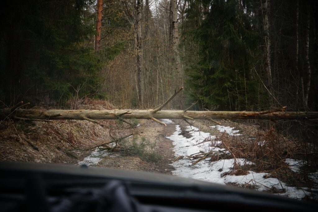 Cesta k českej hranici pri Drietome je uzavretá, spadnutý strom zastavil dopravu