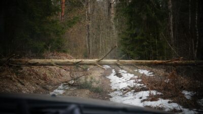 Cesta k českej hranici pri Drietome je uzavretá, spadnutý strom zastavil dopravu